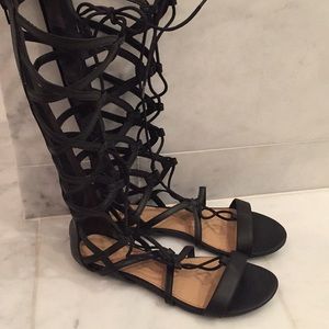 Gladiator Sandals